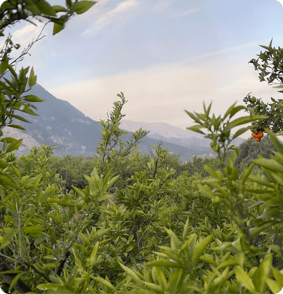 Objetivo para desarrollo medioambiental